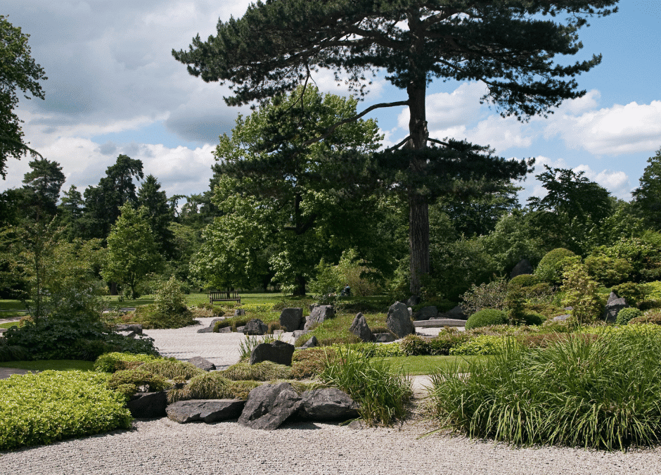Transforming Your Outdoor Space: Innovative Uses for Sand and Gravel